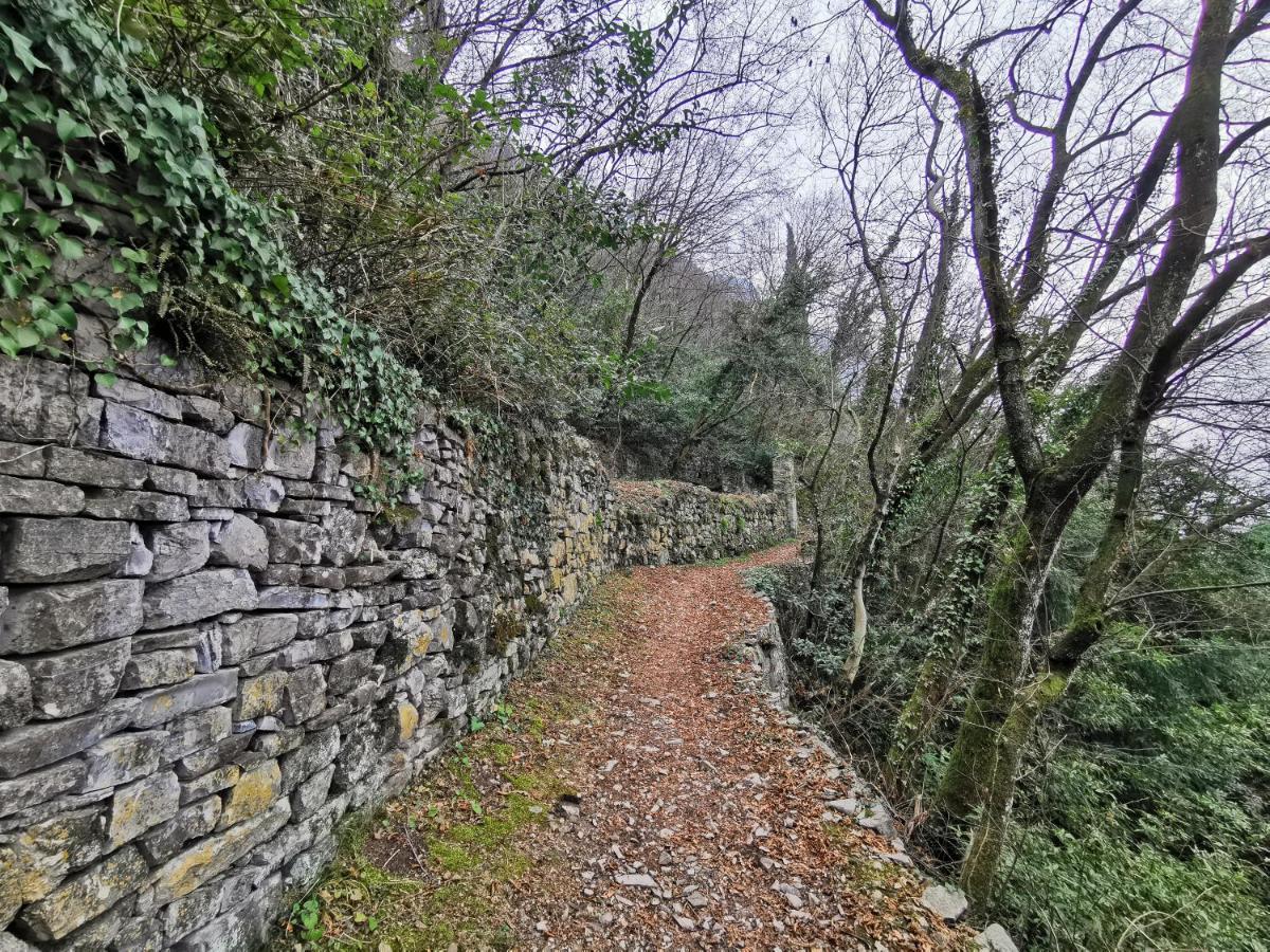 Near Villa Monastero And Castello Di Vezio Varenna Exteriér fotografie